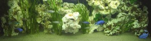 Malawi Aquarium kunstofstenen kunststof stenen